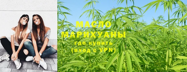 молекула духа Богородицк