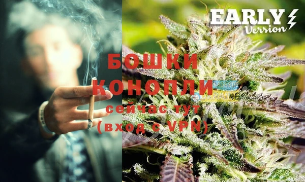 эйфоретик Вяземский