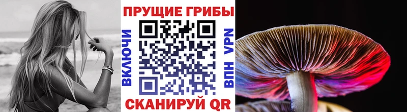ОМГ ОМГ вход  Заозёрск  Псилоцибиновые грибы Magic Shrooms  где купить наркотик 